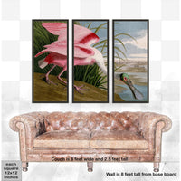 Audubon's Roseate Spoonbill Triptych Framed in Black - Set of 3