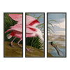 Audubon's Roseate Spoonbill Triptych Framed in Black - Set of 3