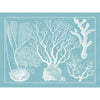 Blue Sealife in White Frame - Set of 4