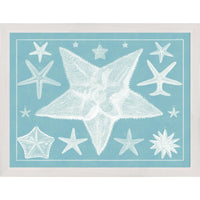 Blue Sealife in White Frame - Set of 4