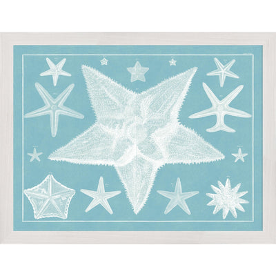 Blue Sealife in White Frame - Set of 4