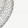 Juvenile Male Snowy Owl Plate 30 by Olof Rudbeck (Cfa-Wd)