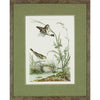 Nozeman Birds Framed in Geen Linen Mat Giclee Prints- Set of 8