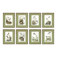 Nozeman Birds Framed in Geen Linen Mat Giclee Prints- Set of 8