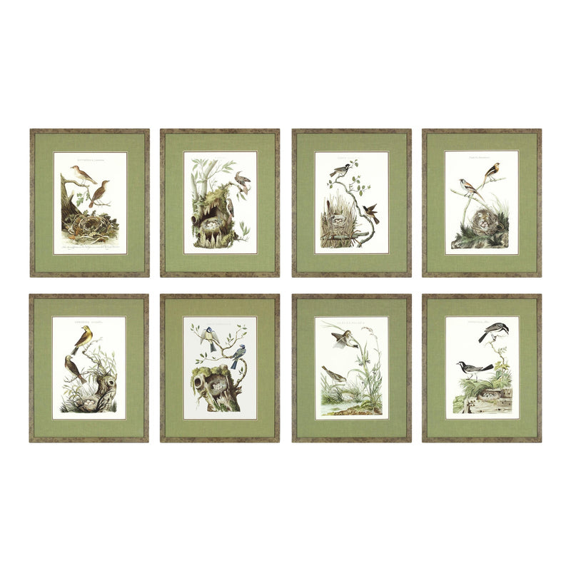 Nozeman Birds Framed in Geen Linen Mat Giclee Prints- Set of 8