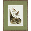 Nozeman Birds Framed in Geen Linen Mat Giclee Prints- Set of 8