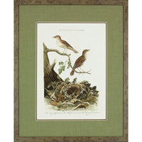 Nozeman Birds Framed in Geen Linen Mat Giclee Prints- Set of 8