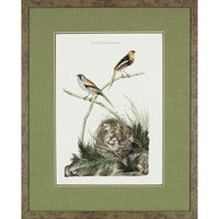 Nozeman Birds Framed in Geen Linen Mat Giclee Prints- Set of 8