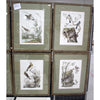 Nozeman Birds Framed in Geen Linen Mat Giclee Prints- Set of 8