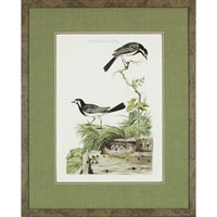 Nozeman Birds Framed in Geen Linen Mat Giclee Prints- Set of 8