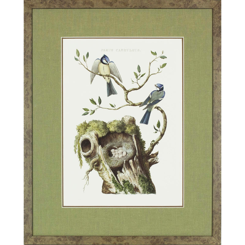 Nozeman Birds Framed in Geen Linen Mat Giclee Prints- Set of 8