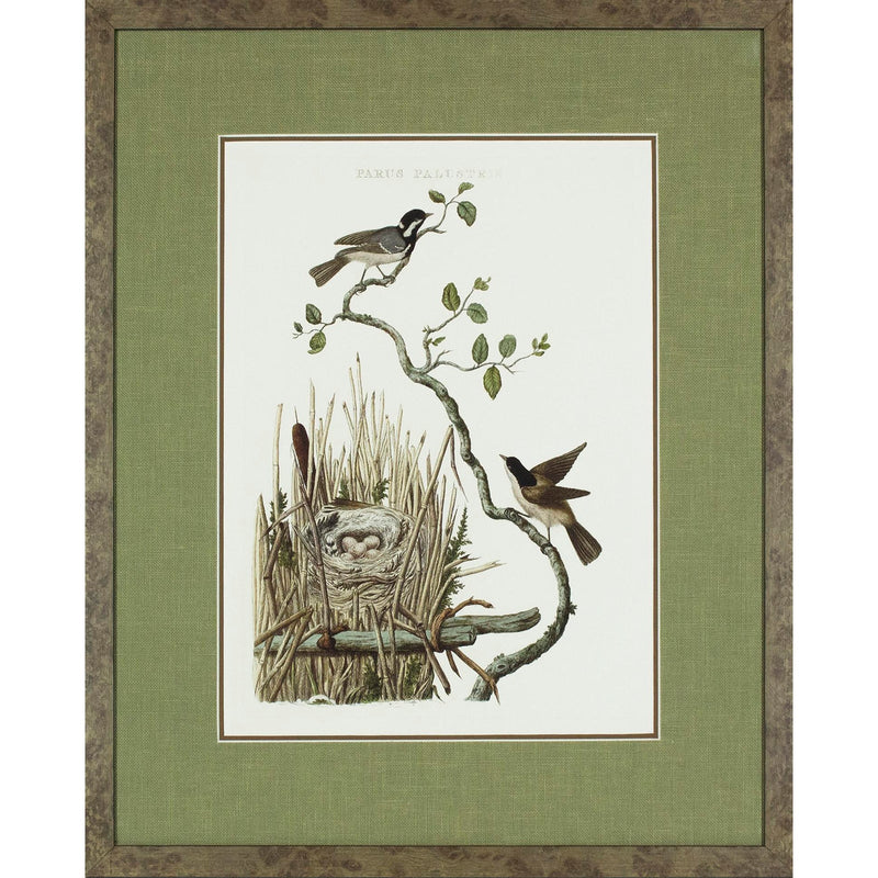 Nozeman Birds Framed in Geen Linen Mat Giclee Prints- Set of 8