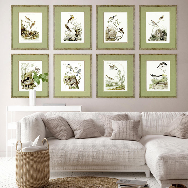 Nozeman Birds Framed in Geen Linen Mat Giclee Prints- Set of 8