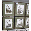 Nozeman Birds Framed in Geen Linen Mat Giclee Prints- Set of 8