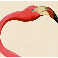 Pink Bird Prints, Unframed - a Pair