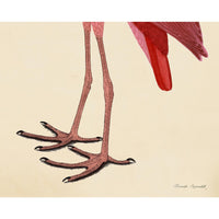 Pink Bird Prints, Unframed - a Pair