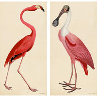 Pink Bird Prints, Unframed - a Pair