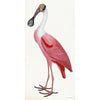 Roseate Spoonbill Poster Styled After Olof Rudbeck