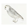 Snowy Owl Plate 27 by Olof Rudbeck (Cfa-Wd)