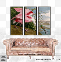 Audubon's Roseate Spoonbill Triptych Framed in Black