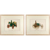 Vintage Framed Car Prints Set 01 - a Pair