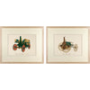 Vintage Framed Car Prints Set 01 - a Pair