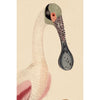 Wilson Pink Spoonbill Print